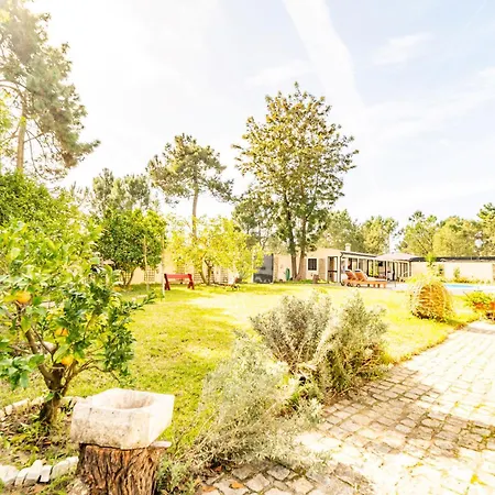 E Floresta * Aroeira (Setubal)