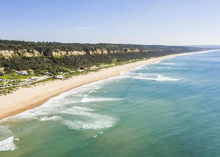 E Floresta Aroeira (Setubal)