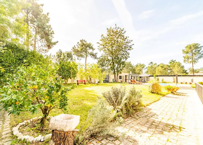 E Floresta * Aroeira (Setubal)